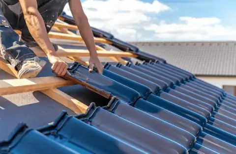 Couverture - Berthelming